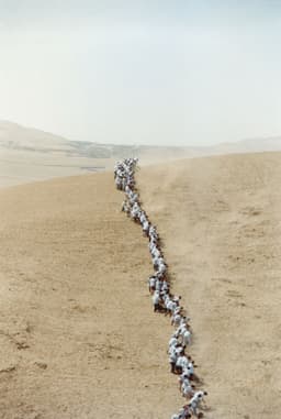 The cover image for the unit