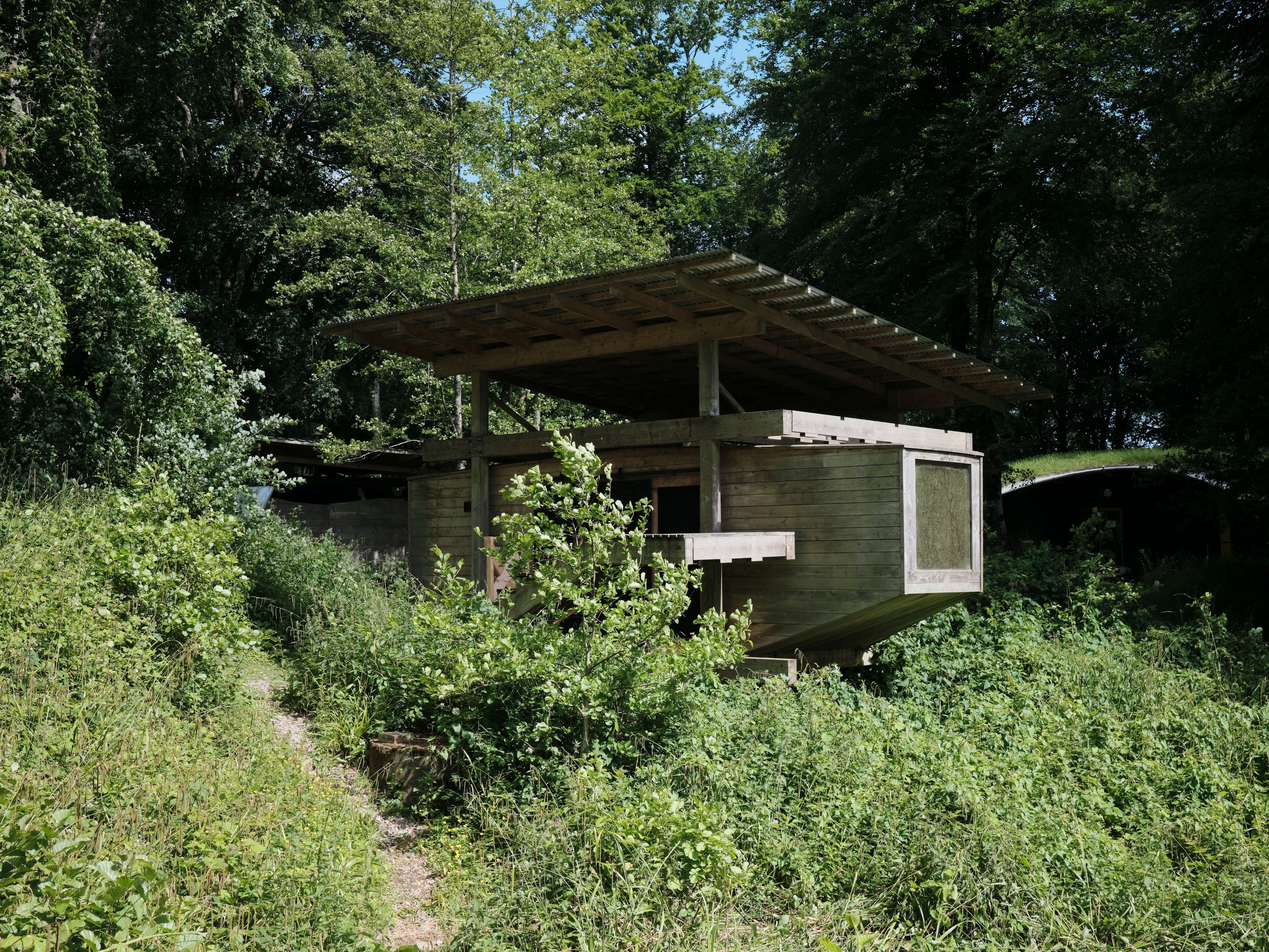 Timber building in the woodland surrounded by greenery.