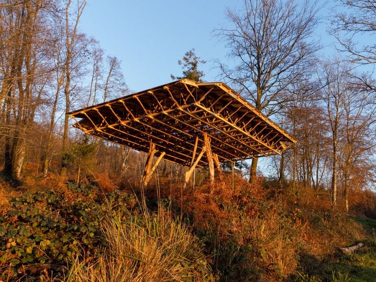 Wooden slatted roof structure on a sunlit hillside surrounded by trees.