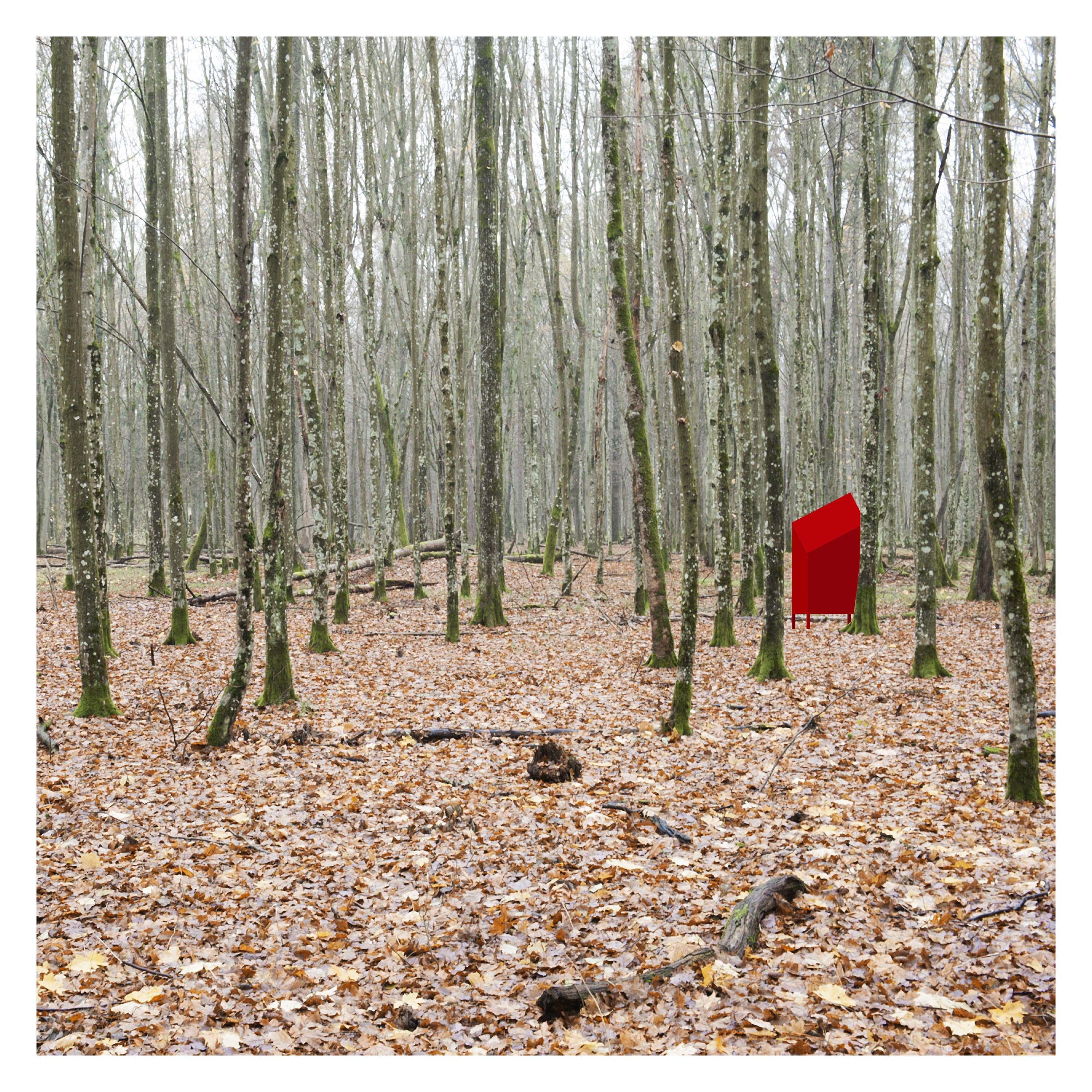 The Hunt In The Forest